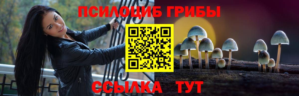 Псилоцибиновые грибы Psilocybe  Вход с VPN  Набережные Челны 